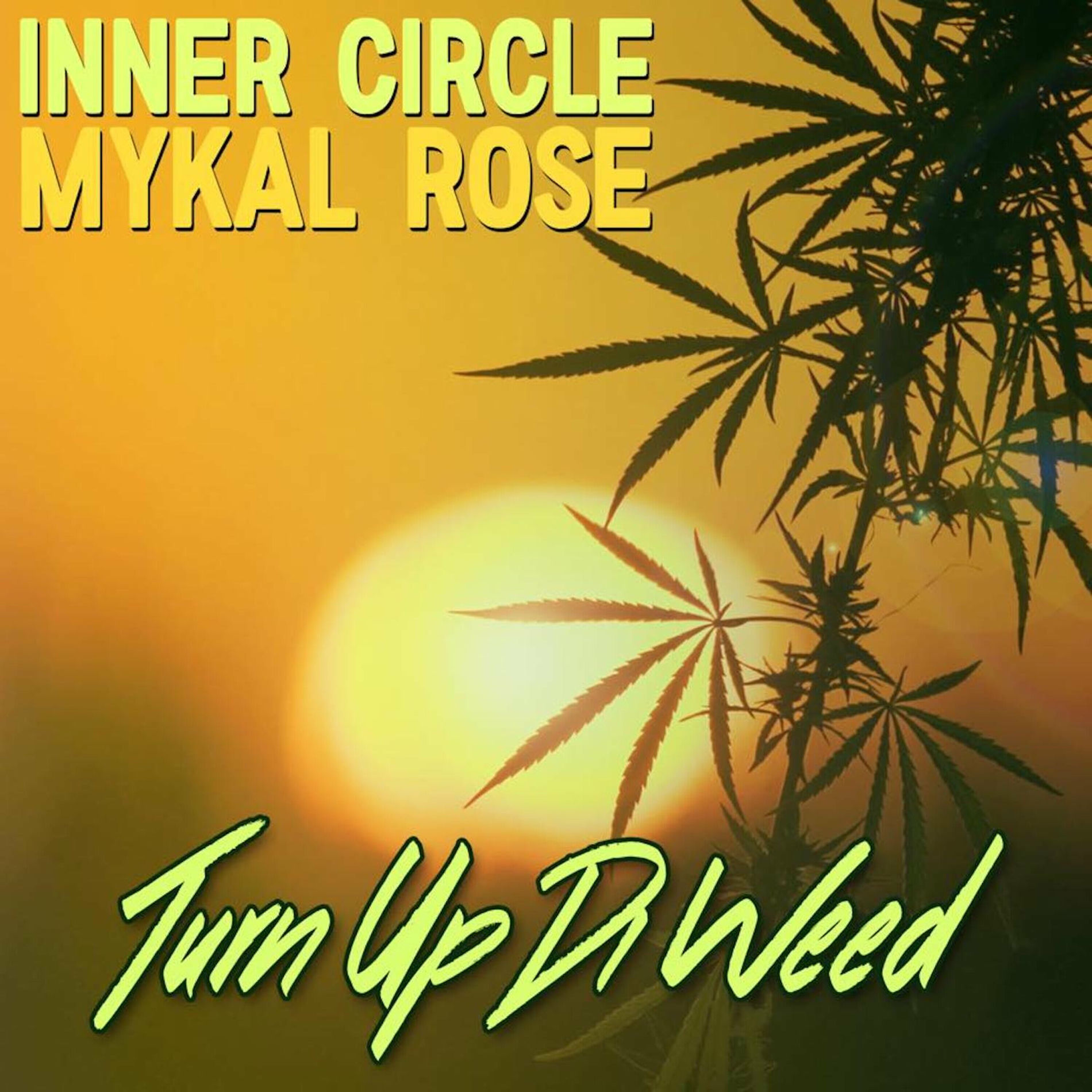 Album cover of Turn Up Di Weed
