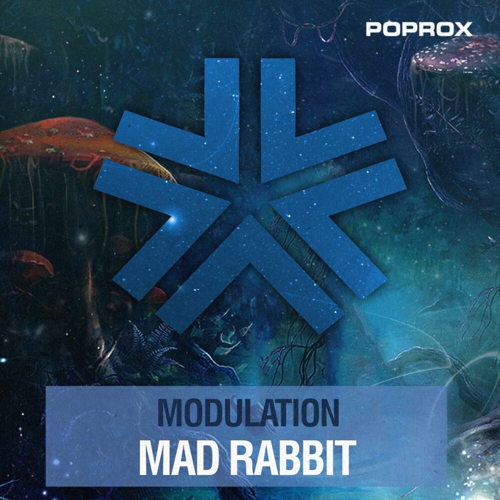 Picture of Mad Rabbit