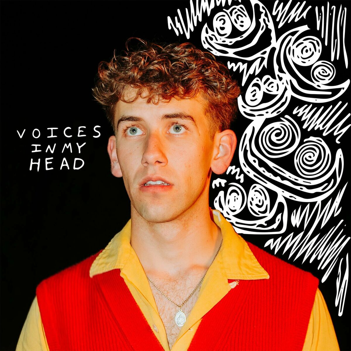 Album cover of Voices In My Head (they said)