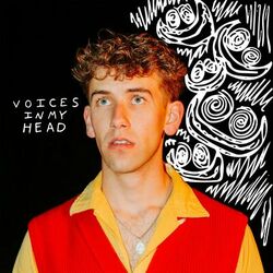 Cover of Voices In My Head (they said)