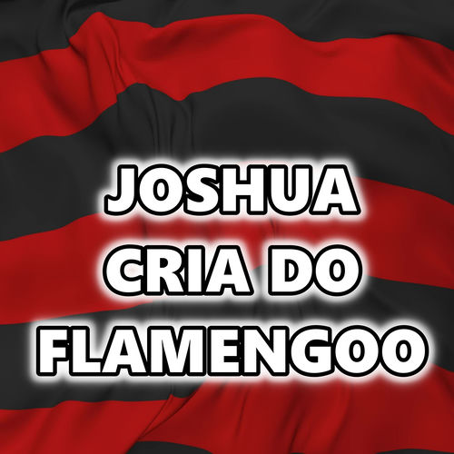 JOSHUA CRIA DO FLAMENGOO