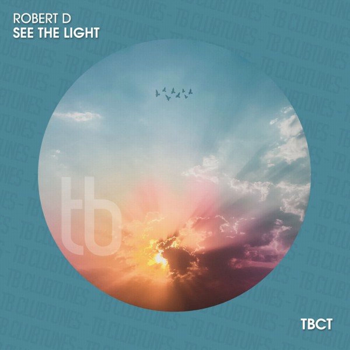 Album cover of See the Light