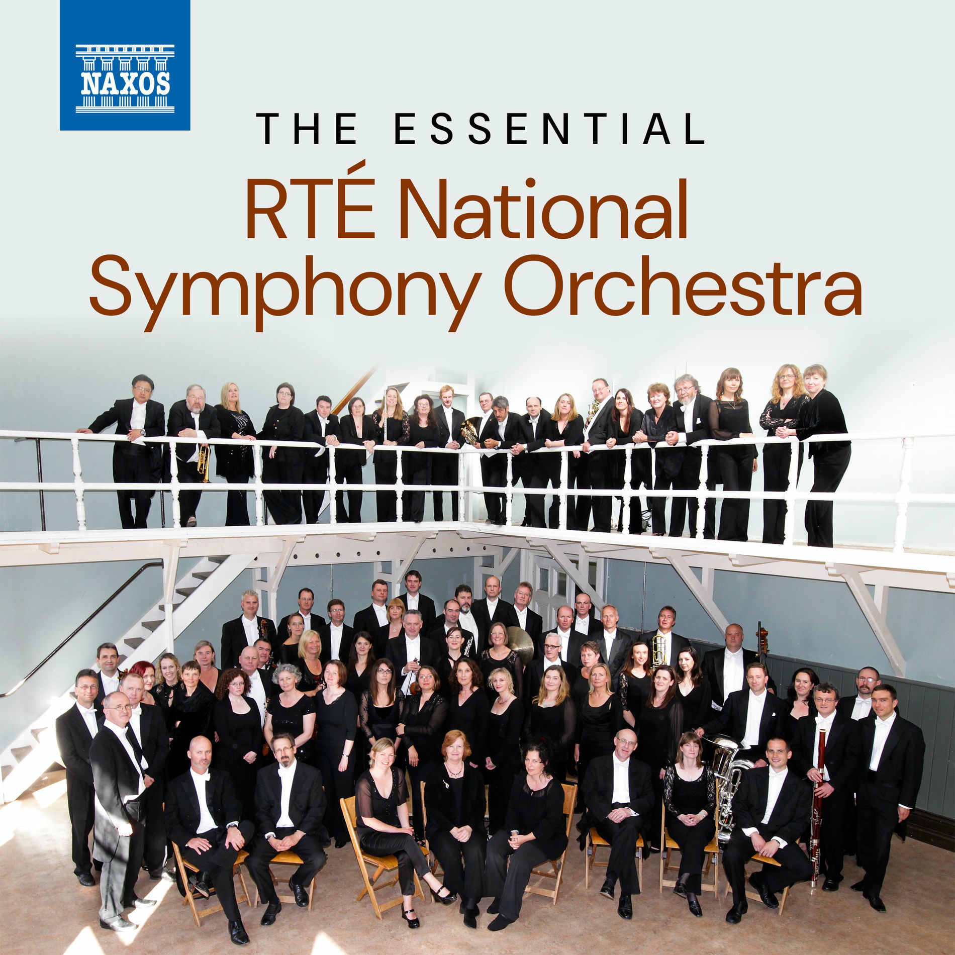Album cover of The Essential RTÉ National Symphony Orchestra