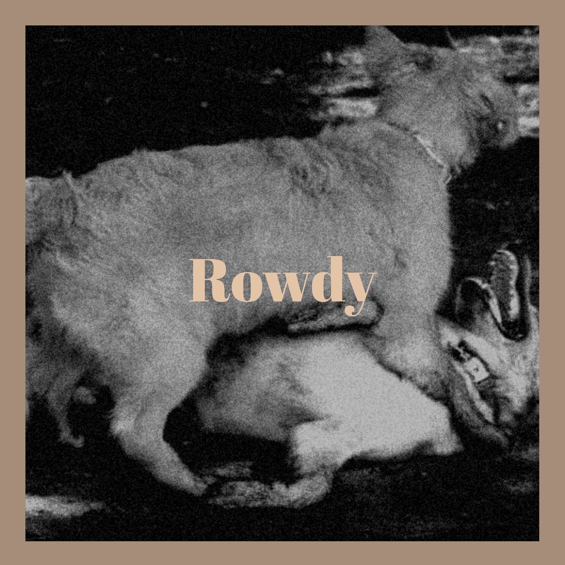 Album cover of Rowdy