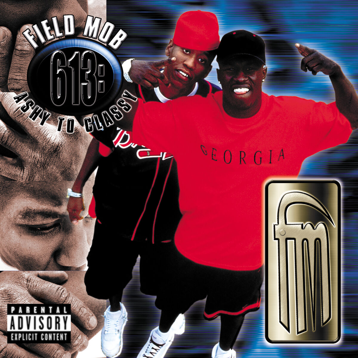 Album cover of 613: Ashy To Classy