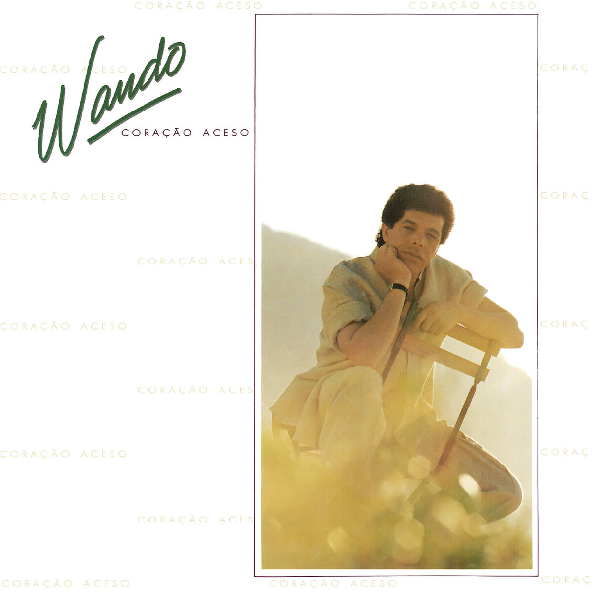 Album cover of Coração Aceso