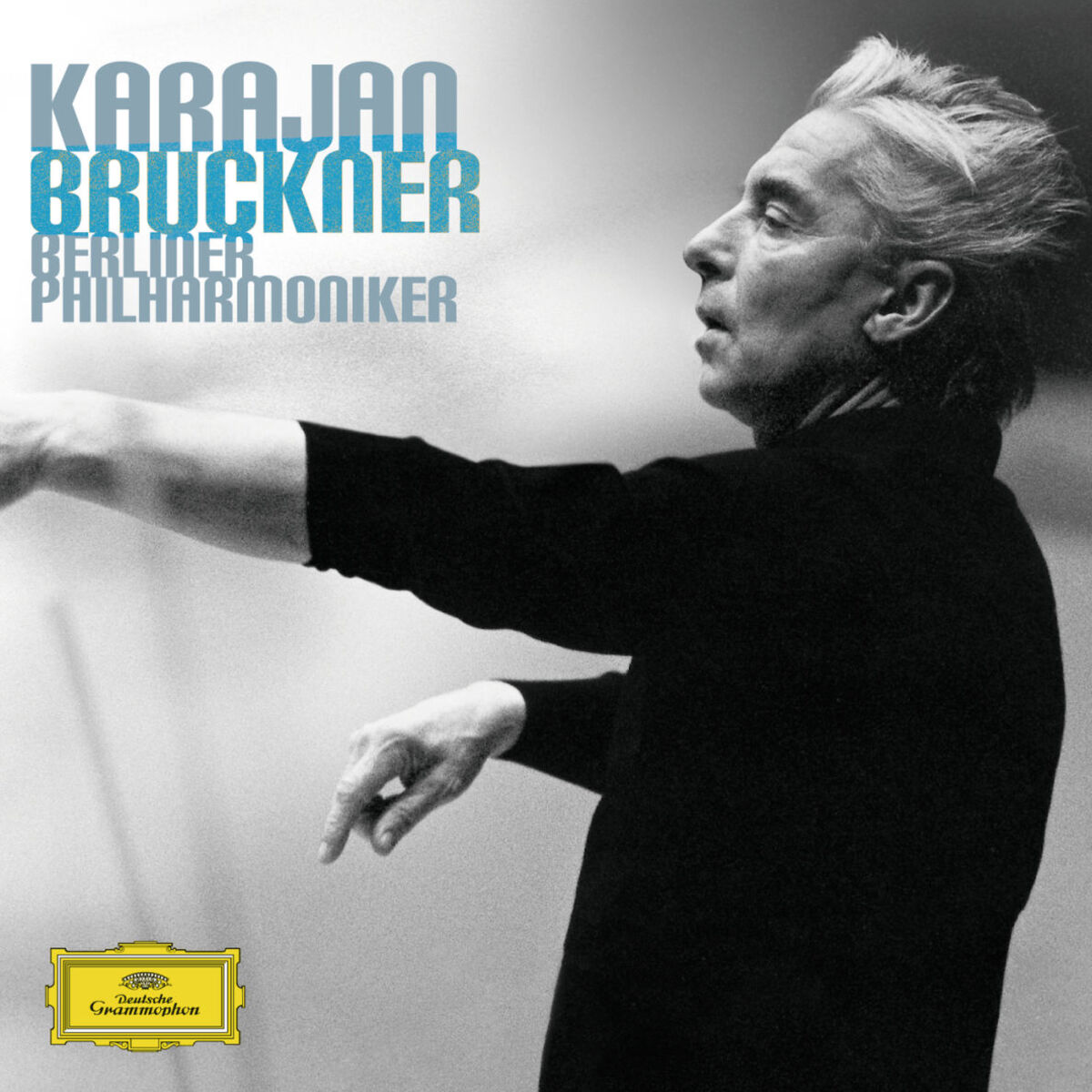 Album cover of Bruckner: 9 Symphonies