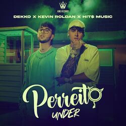 Cover of Perreito under