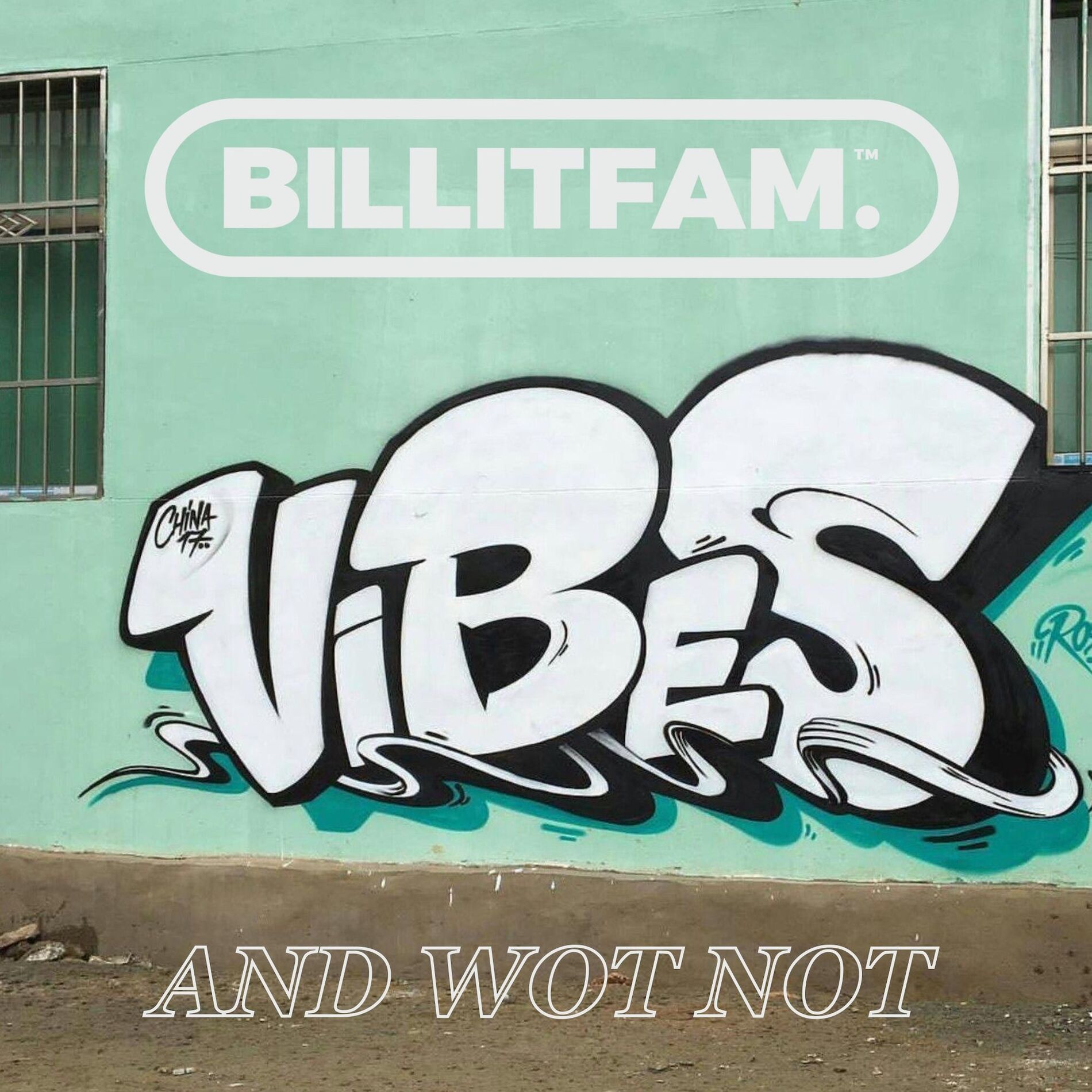 Album cover of Vibes And Wot Not