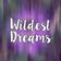 Wildest Dreams