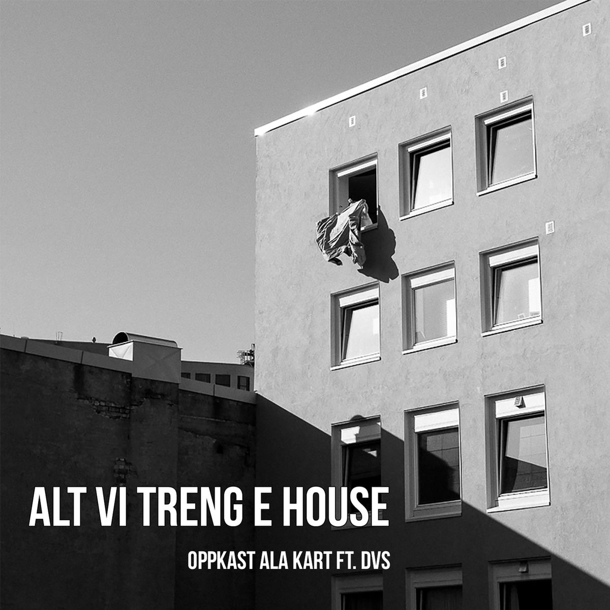 Album cover of Alt vi treng e house