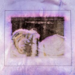 Cover of EDIE CELINE (Stripped Version)