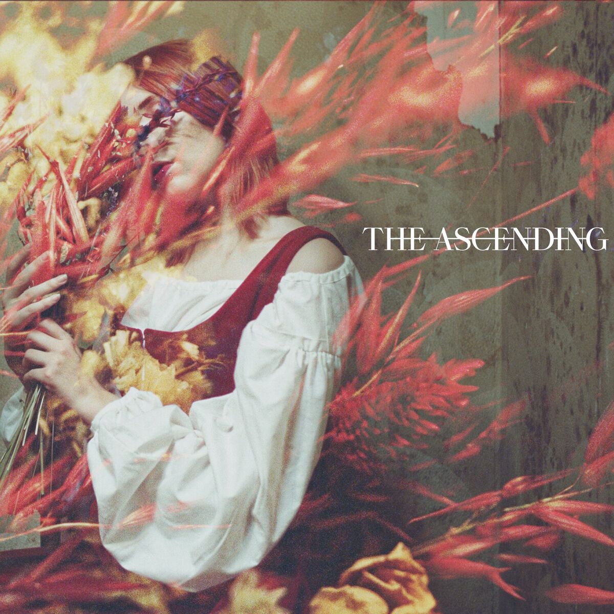 Album cover of The Ascending