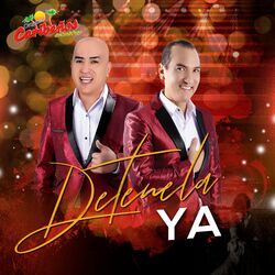 Cover of Detenerla Ya