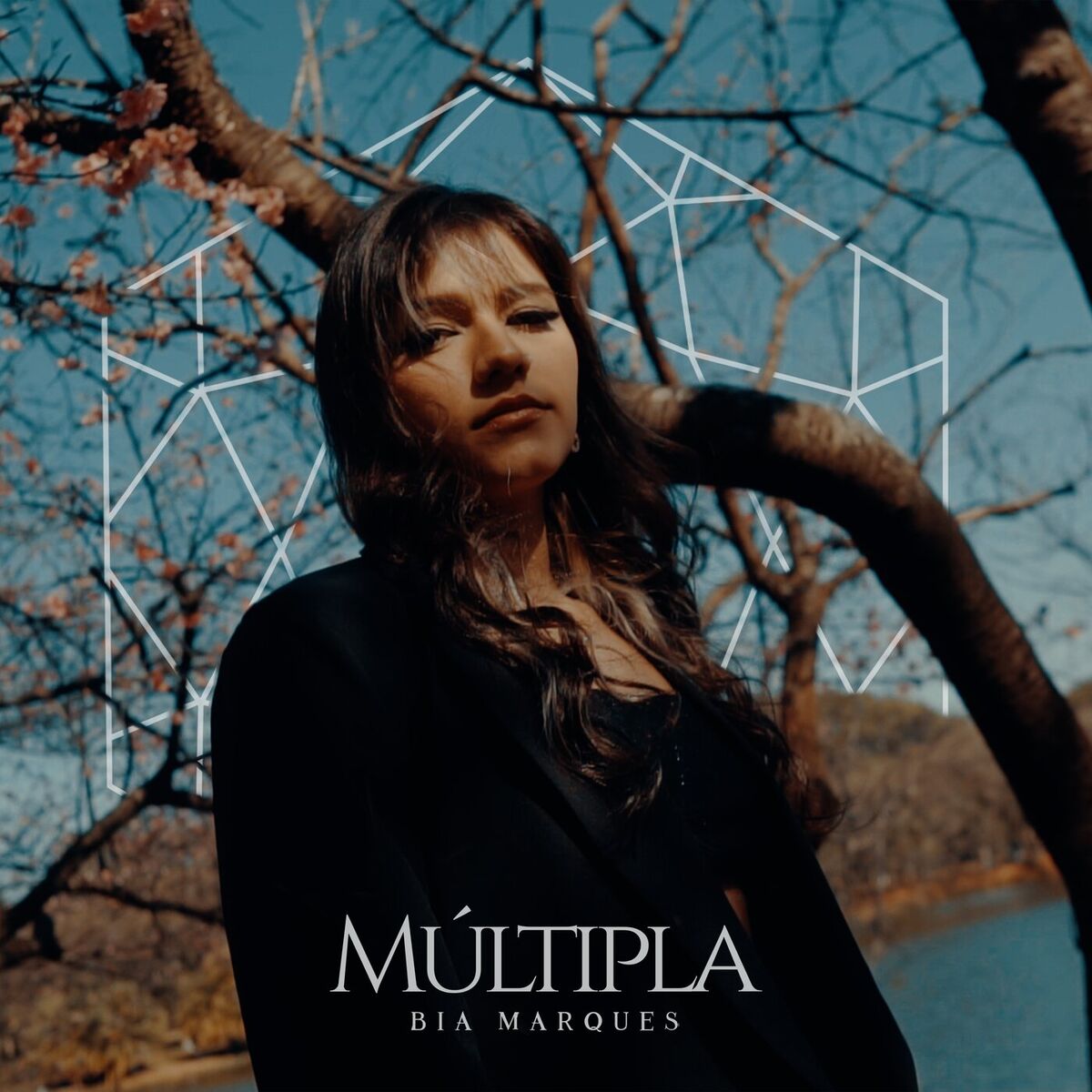 Album cover of Deixa Eu Viver