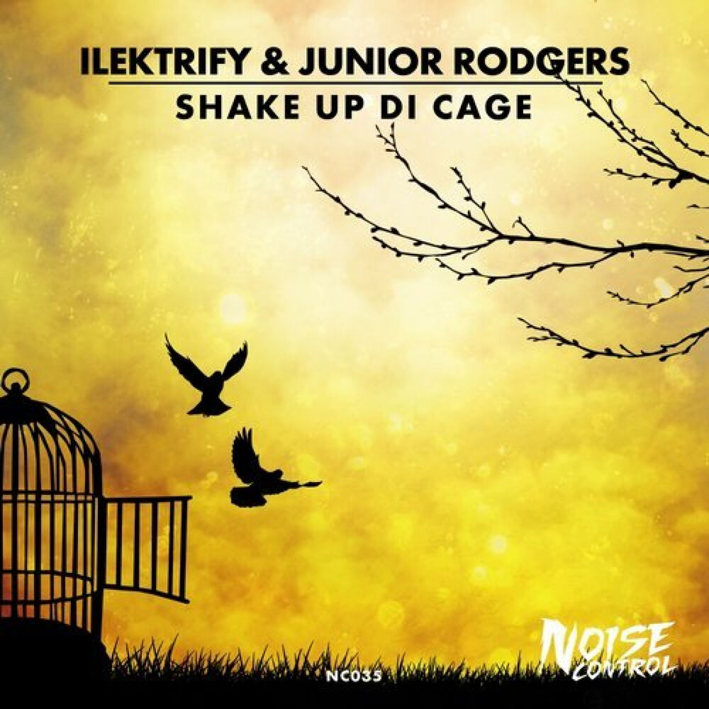 Picture of Shake Up Di Cage