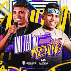 Cover of Vai Ter um Menino