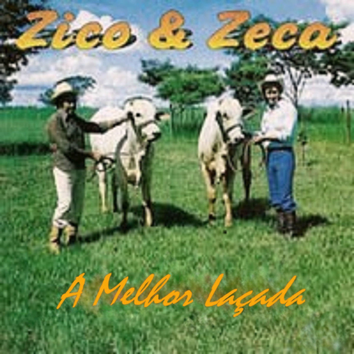 Album cover of A Melhor Laçada