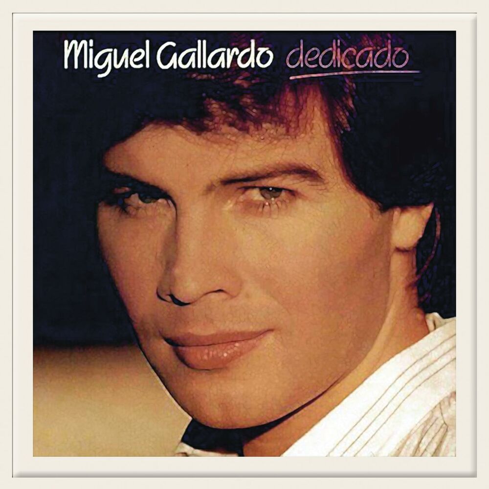 Picture of Dedicado