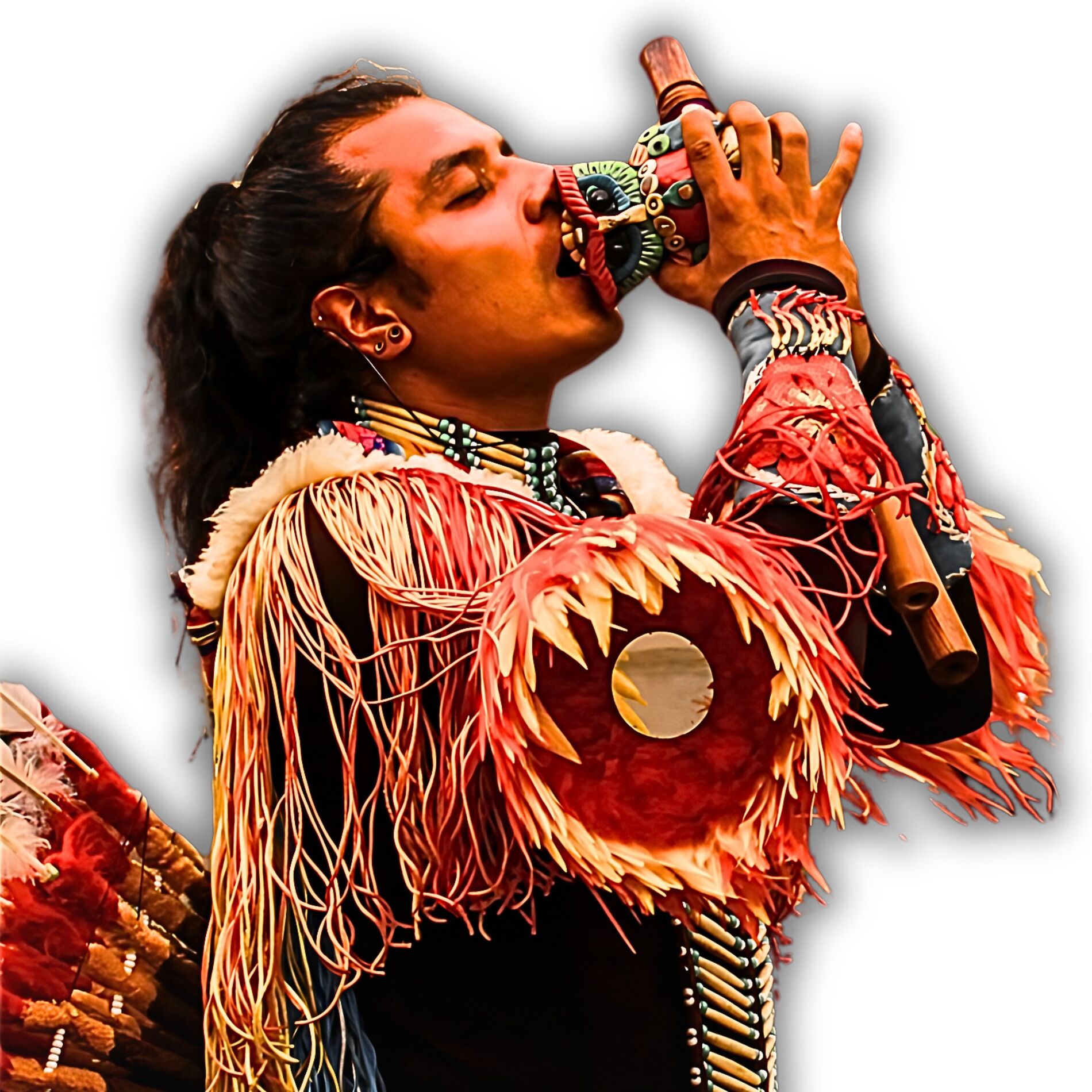 Album cover of México Andino