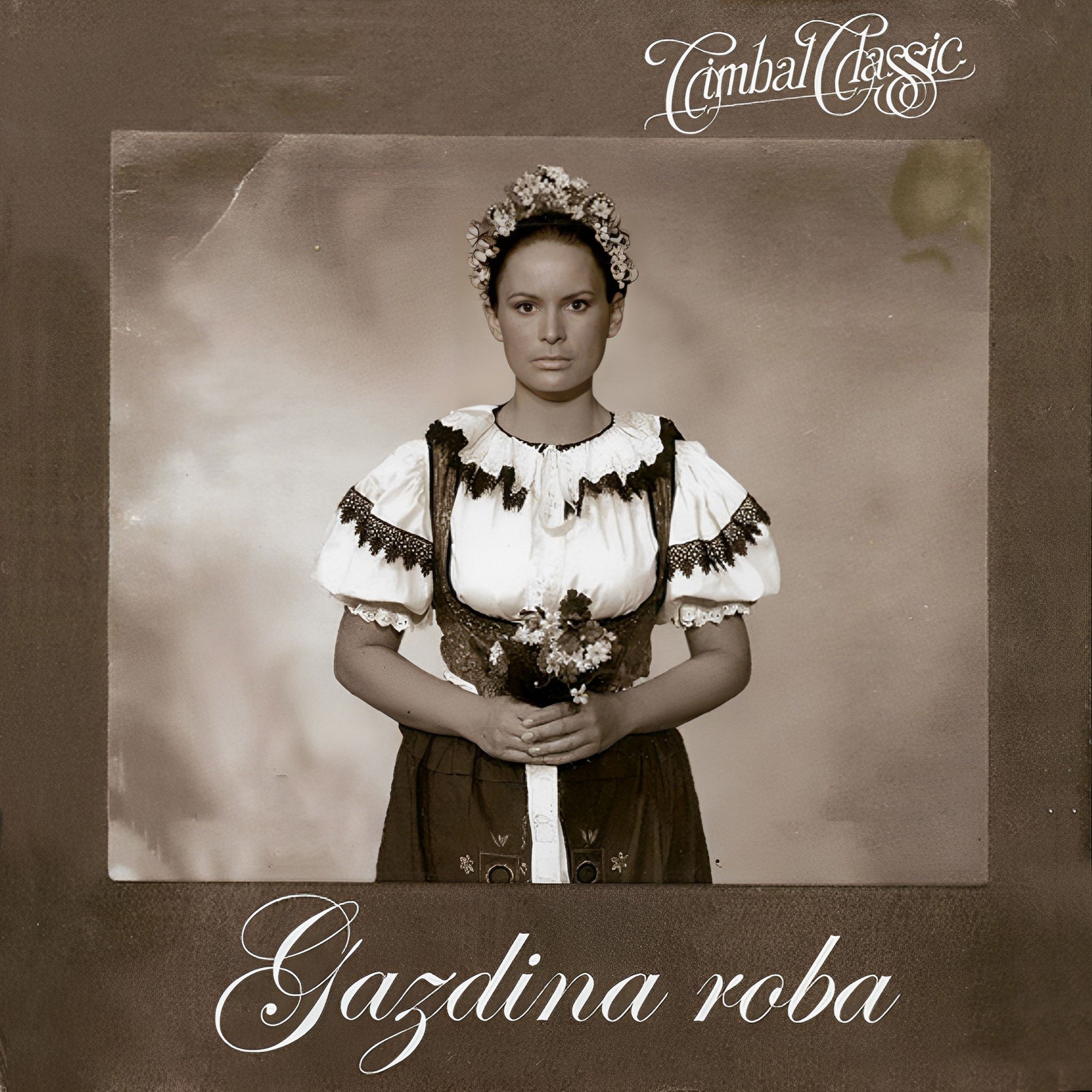 Album cover of Gazdina roba