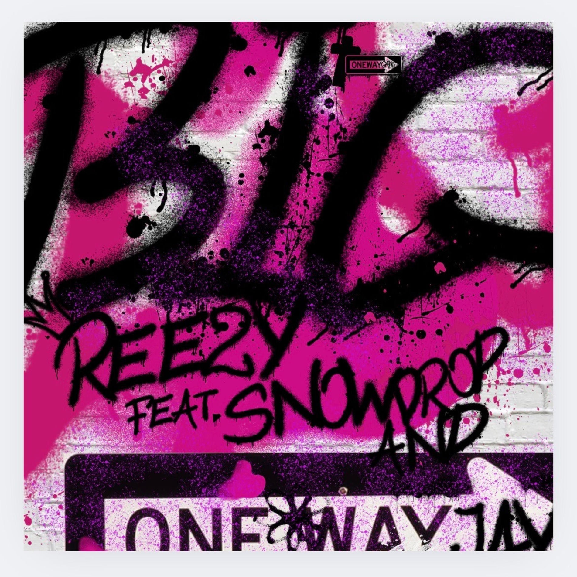 Album cover of BIG (feat. 1waycjay! & REEZY)