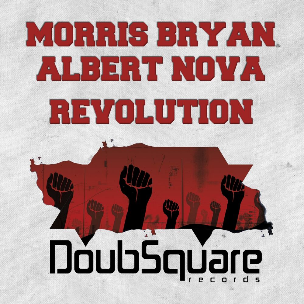 Picture of Revolution