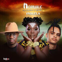 Cover of Indlela