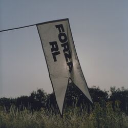 Cover of Since I