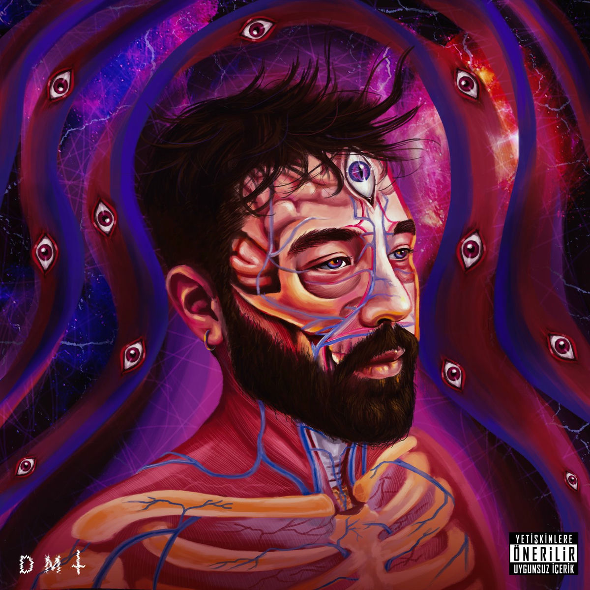 Album picture of DMT