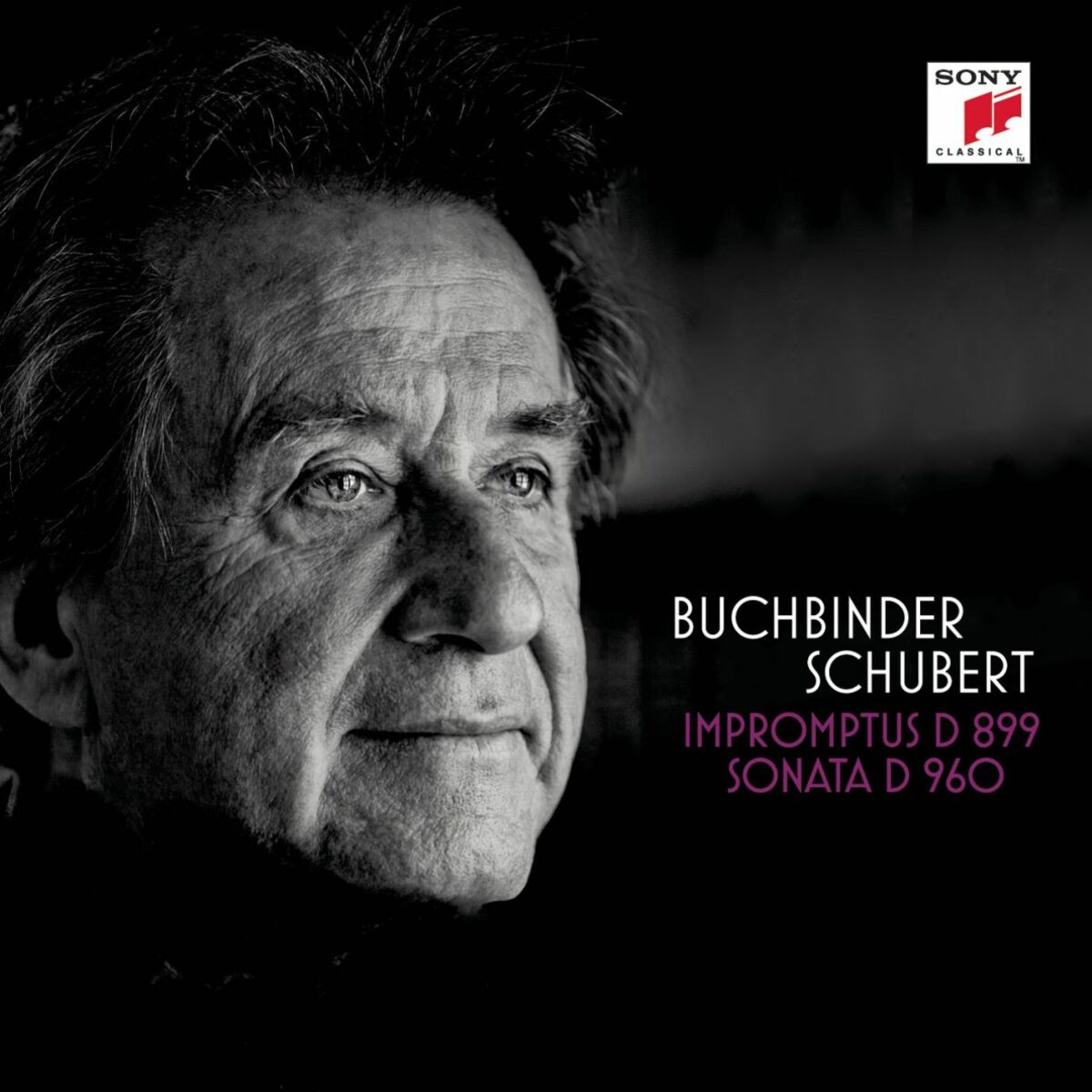 Album cover of Schubert: Impromptus D 899, Sonate D 960