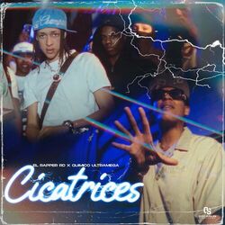 Cover of Cicatrices