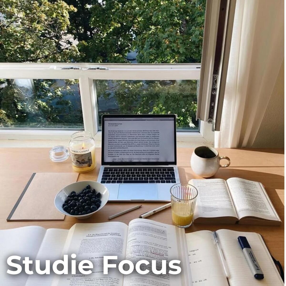 Album cover of Studie Focus