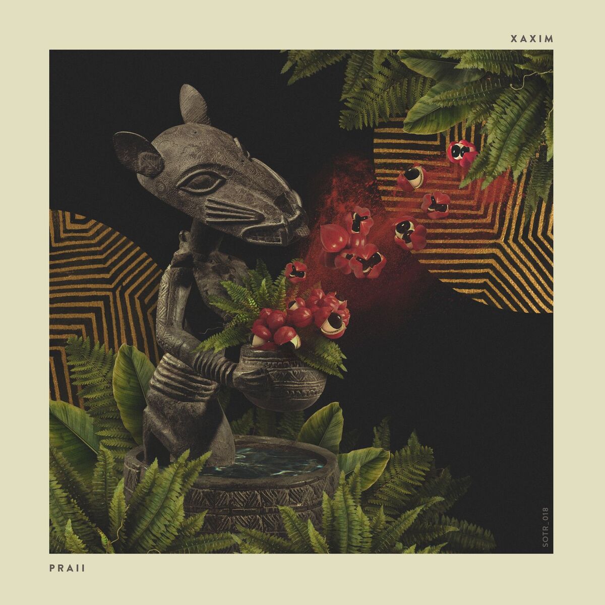 Album cover of Praii