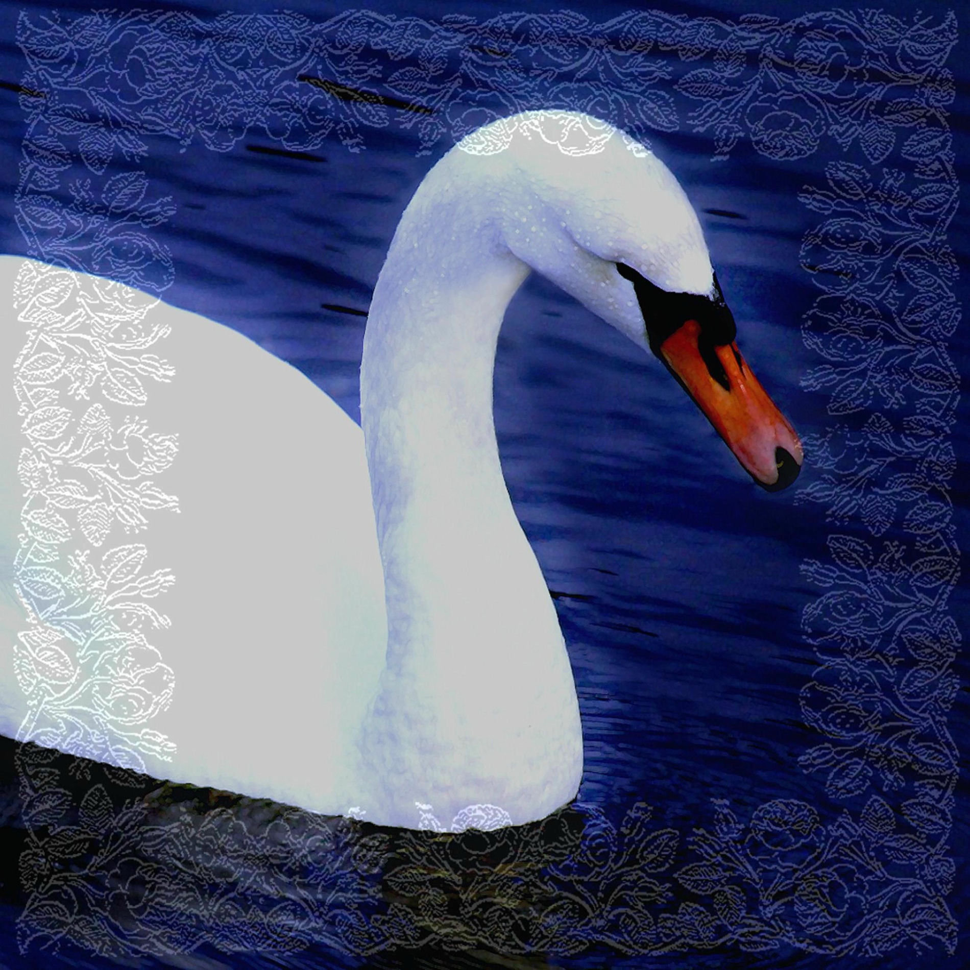 Album cover of Swansong Ep