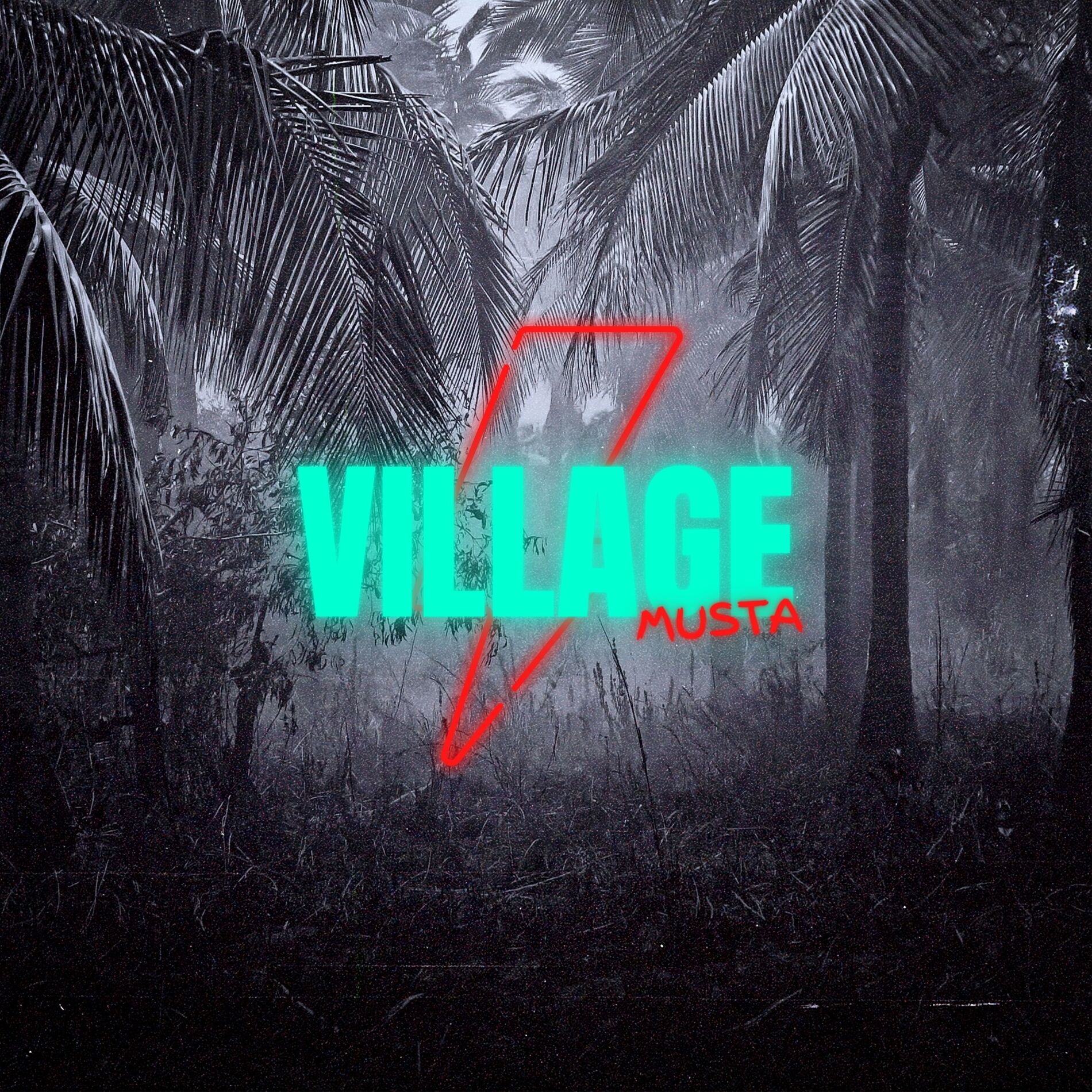 Album cover of Village Musta