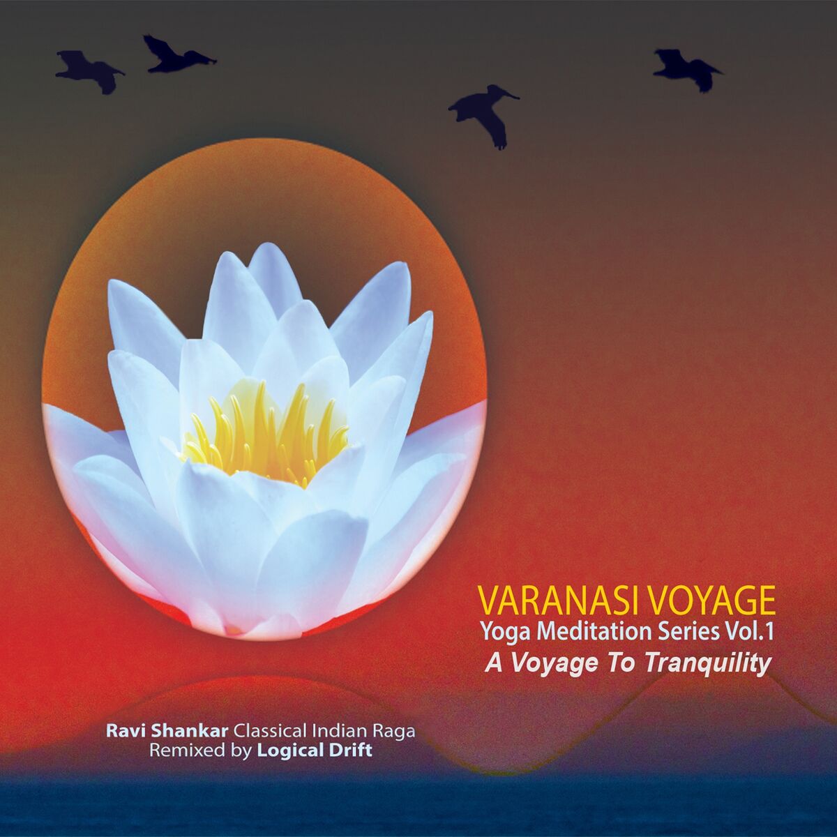 Album cover of Varanasi Voyage