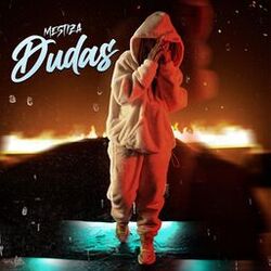 Cover of Dudas