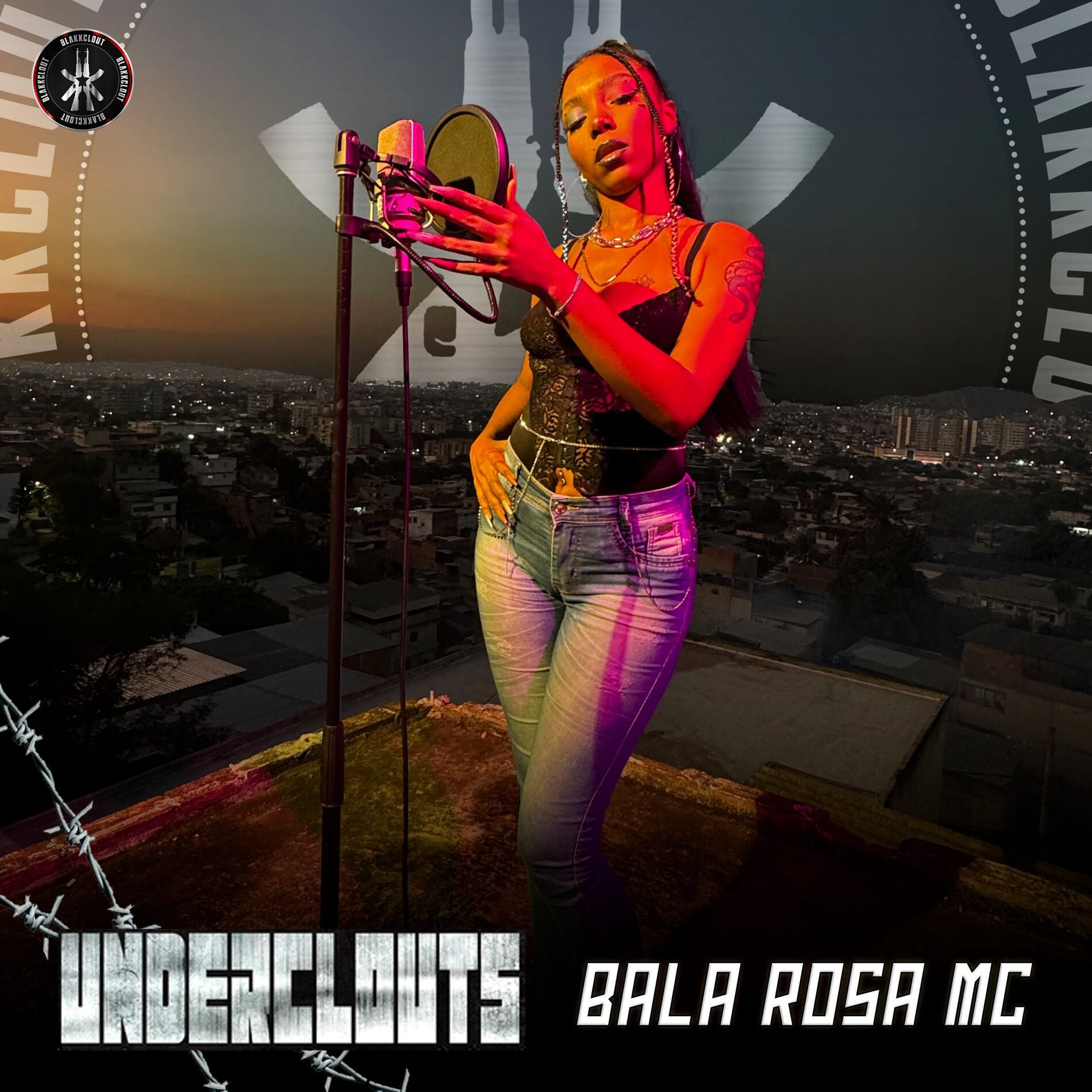 Album cover of Alerquina