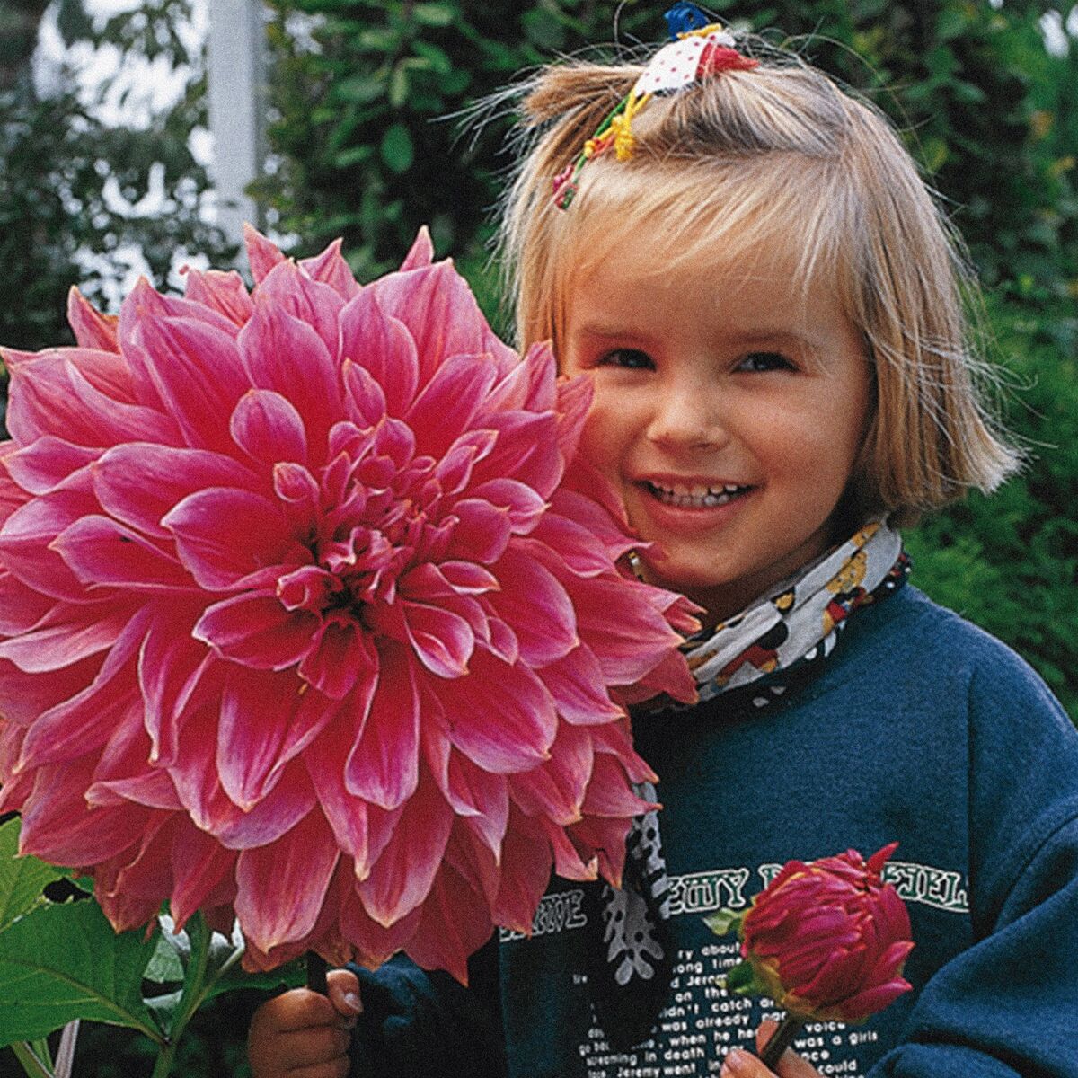 Album cover of Dahlia Karma