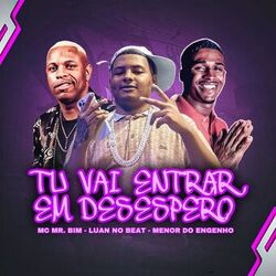 Cover of Tu Vai Entrar em Desespero