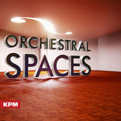 Cover of Orchestral Spaces
