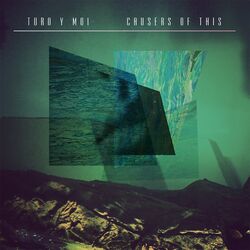 Cover of Causers Of This