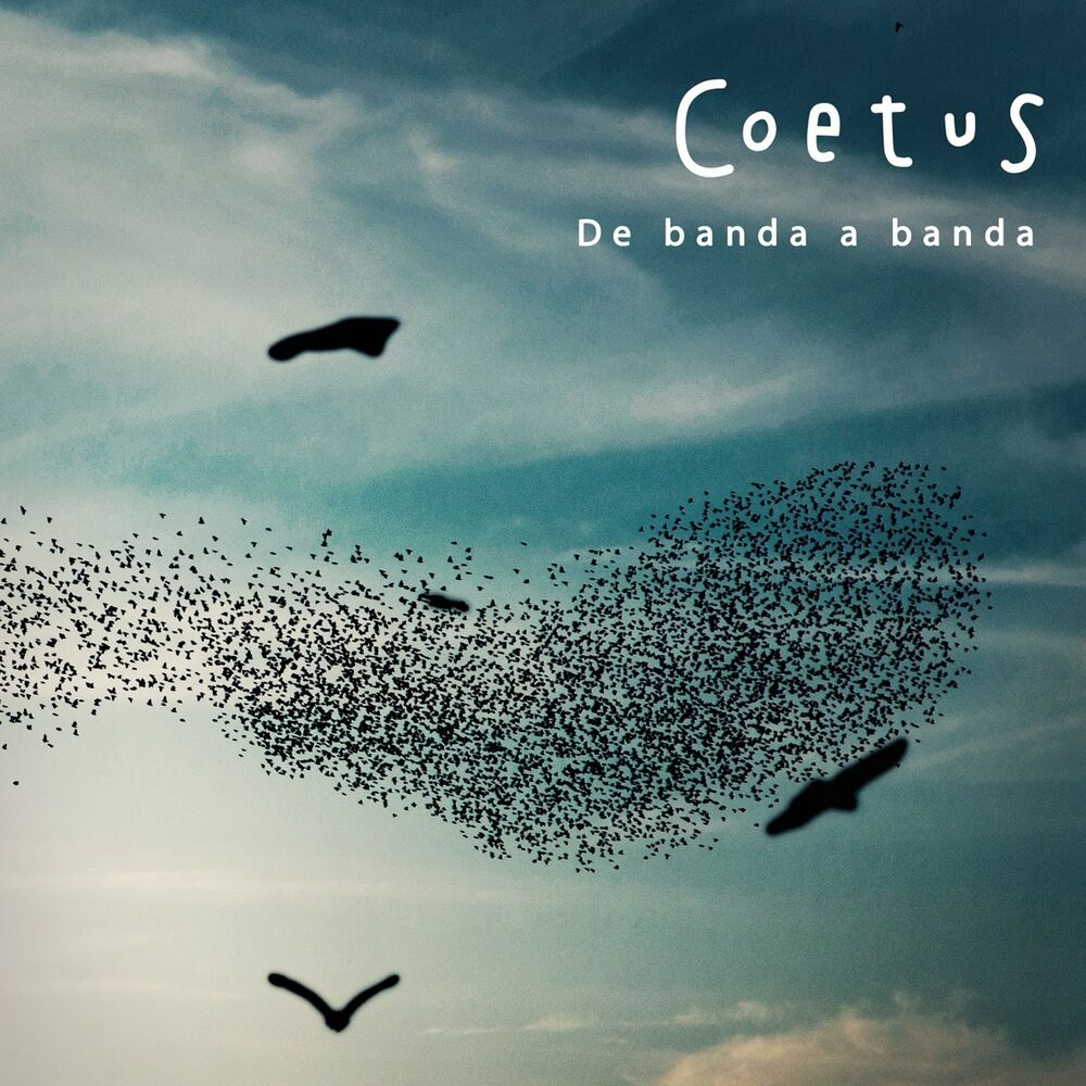 Picture of De banda a banda