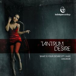 Cover of What Is Your Desire
