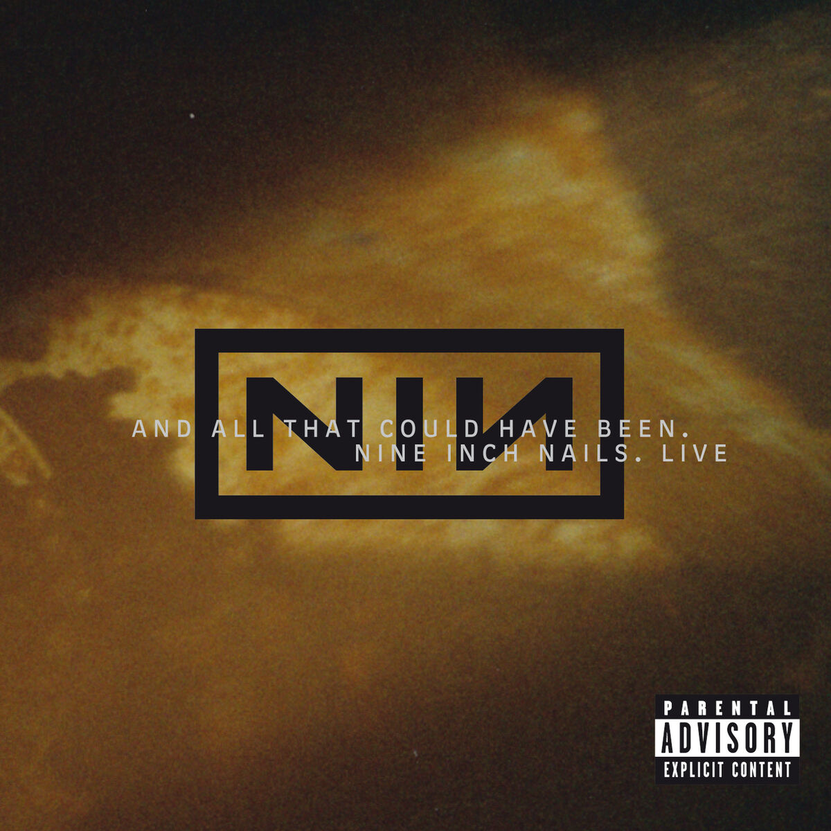 Nine Inch Nails - Live: And All That Could Have Been | Deezer Nine Inch Nails - Live: And All That Could Have Been | Deezer