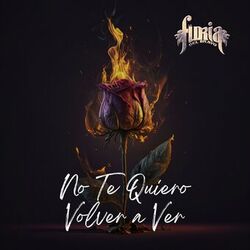 Cover of No Te Quiero Volver A Ver
