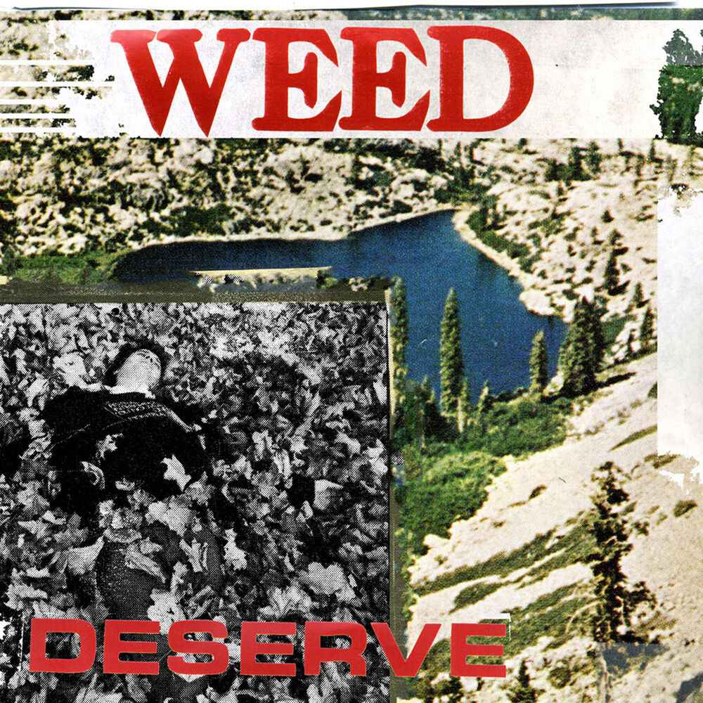 Picture of Deserve