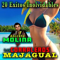 Cover of 20 Exitos Inolvidables