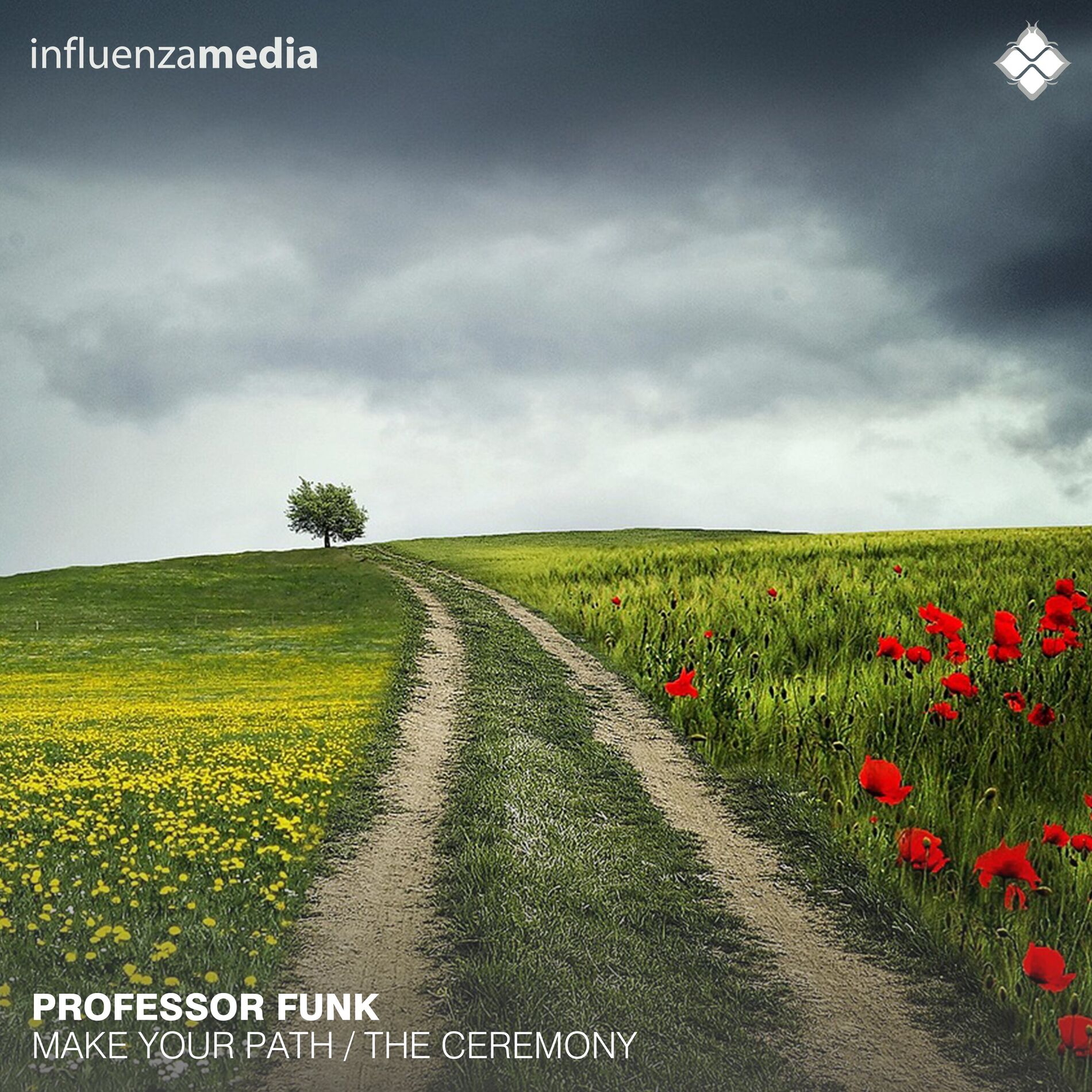 Album cover of Make Your Path / The Ceremony